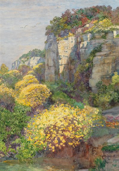 Broom in Bloom on Brionin by Hugo Charlemont